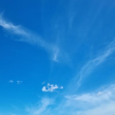 exlibrarykris@cloudisland.nz