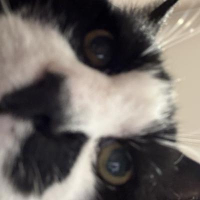 ygathgoch@cloudisland.nz