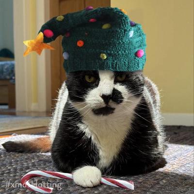 Y Gath Goch's avatar