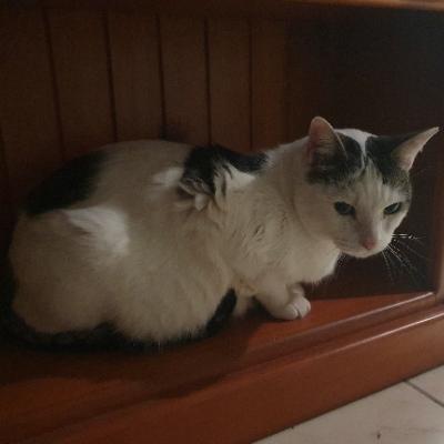 emairi@cloudisland.nz