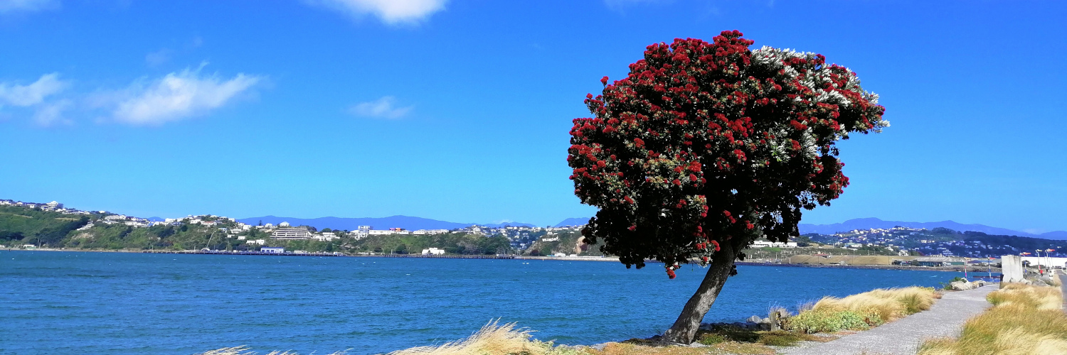 Header Image