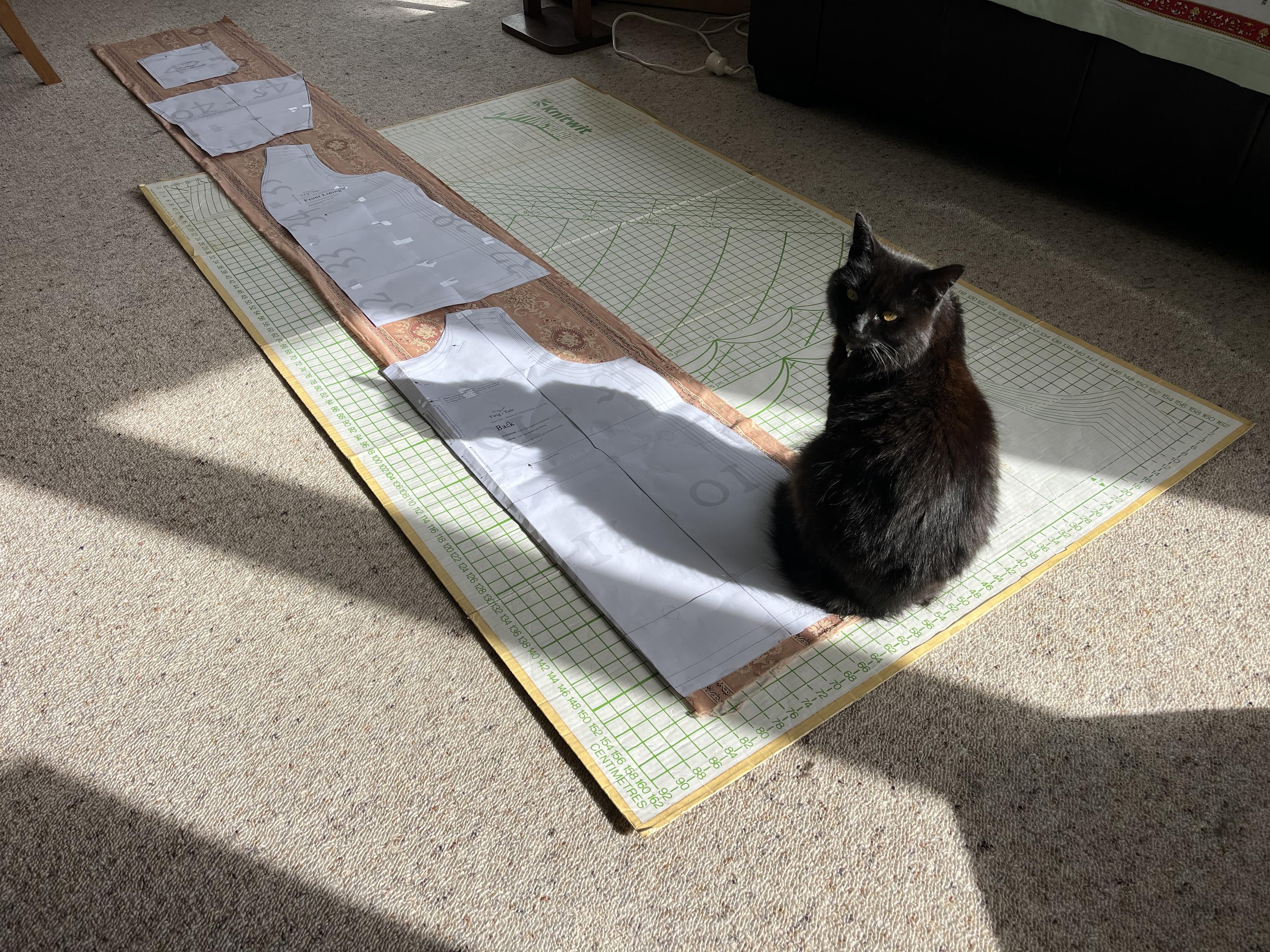 Laid out on a cardboard cutting board on a carpeted floor is a long piece of fabric, with paper pattern pieces on top of it. A black cat is sitting on one corner of the fabric, head turned back to look at the camera.