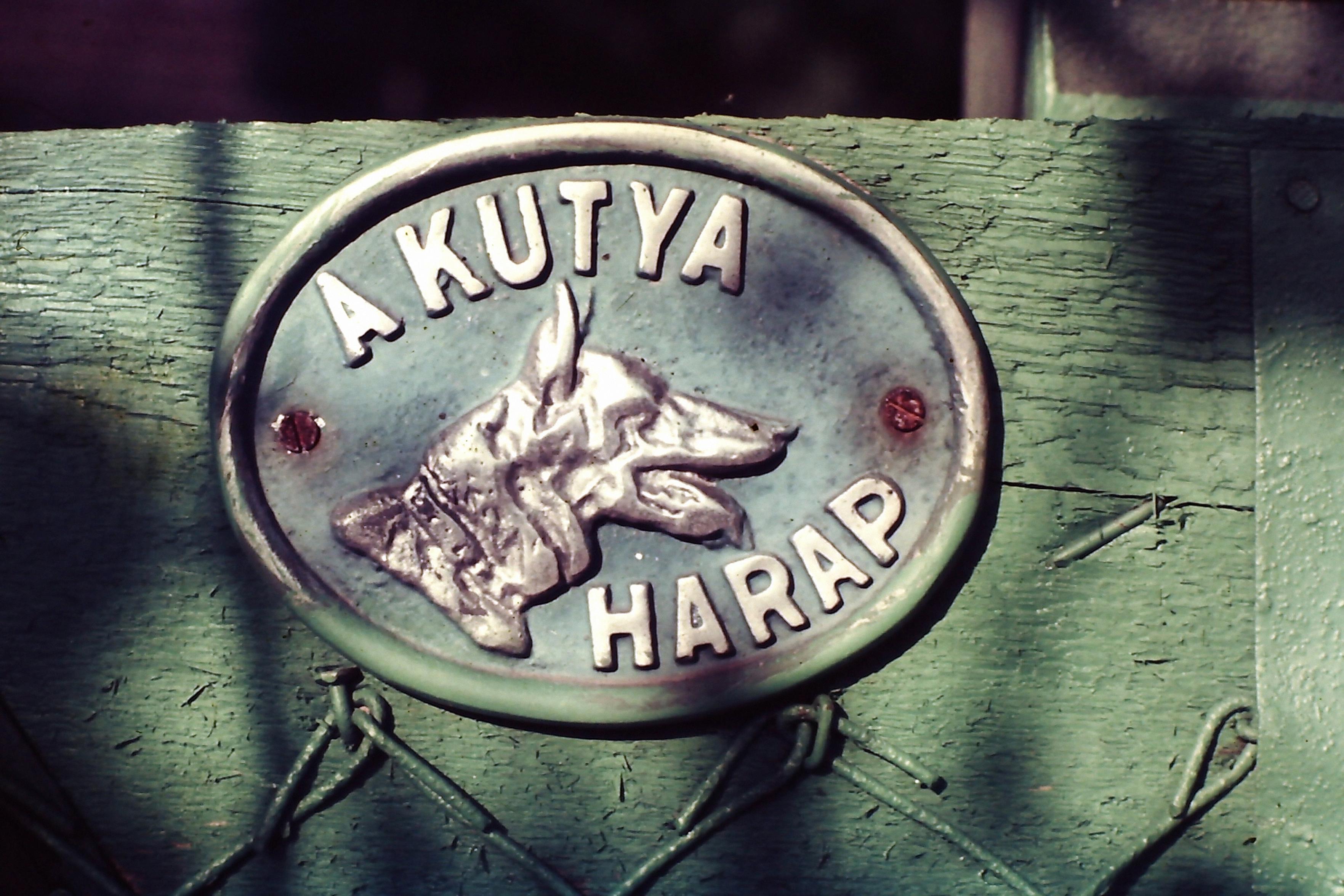 A colour photo of a sign on wooden gate. The sign is a metal oval with a picture of a head of a dog and text around the edge that says, 'A KUTYA HARAP'
