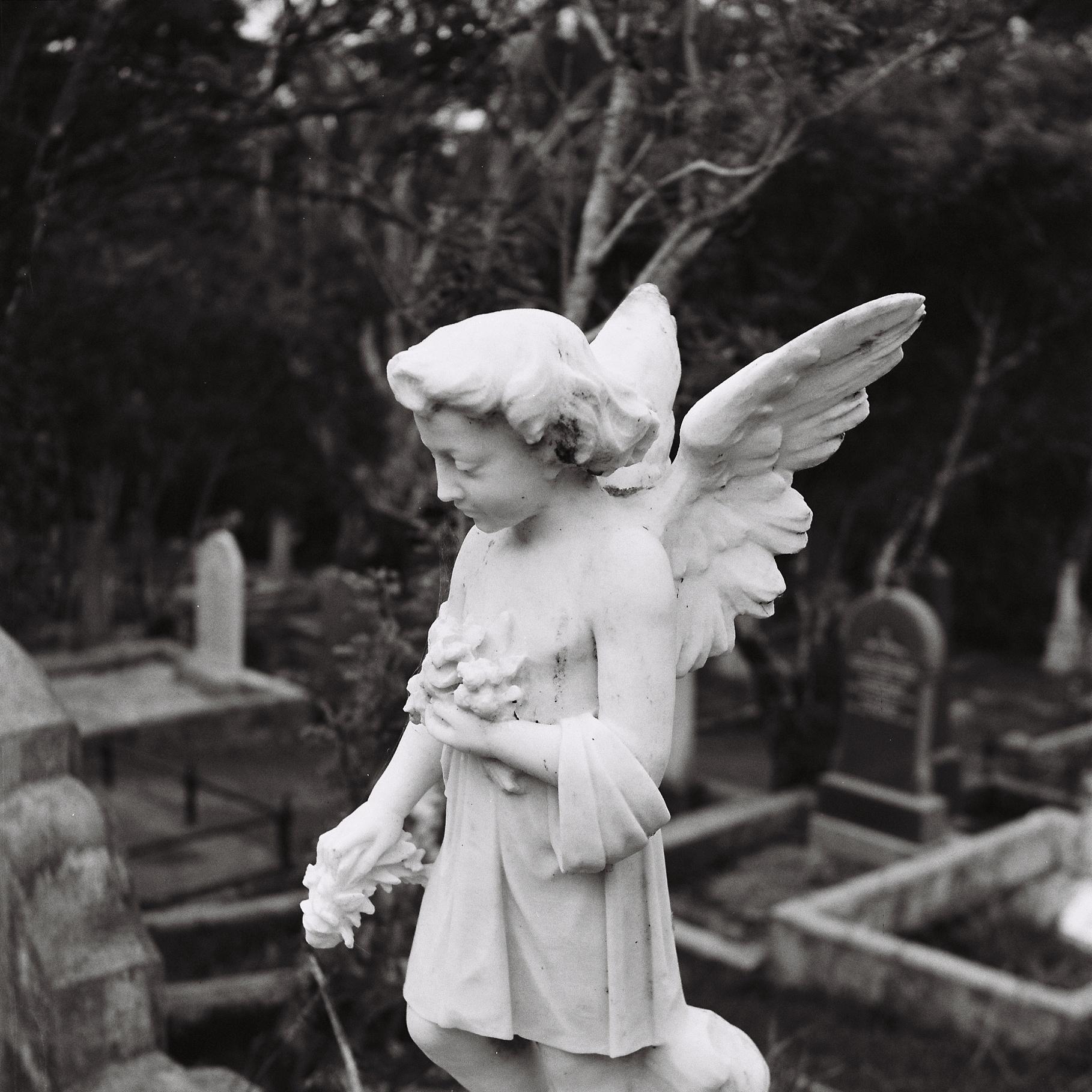 Square black & white photo of a white cherub like angel statue on a grave-site at Karori cemetary. Gravestones and trees are visible in the background.
Photo was shot on a Yashica B twin-lens reflex camera & Kodak 400TX film