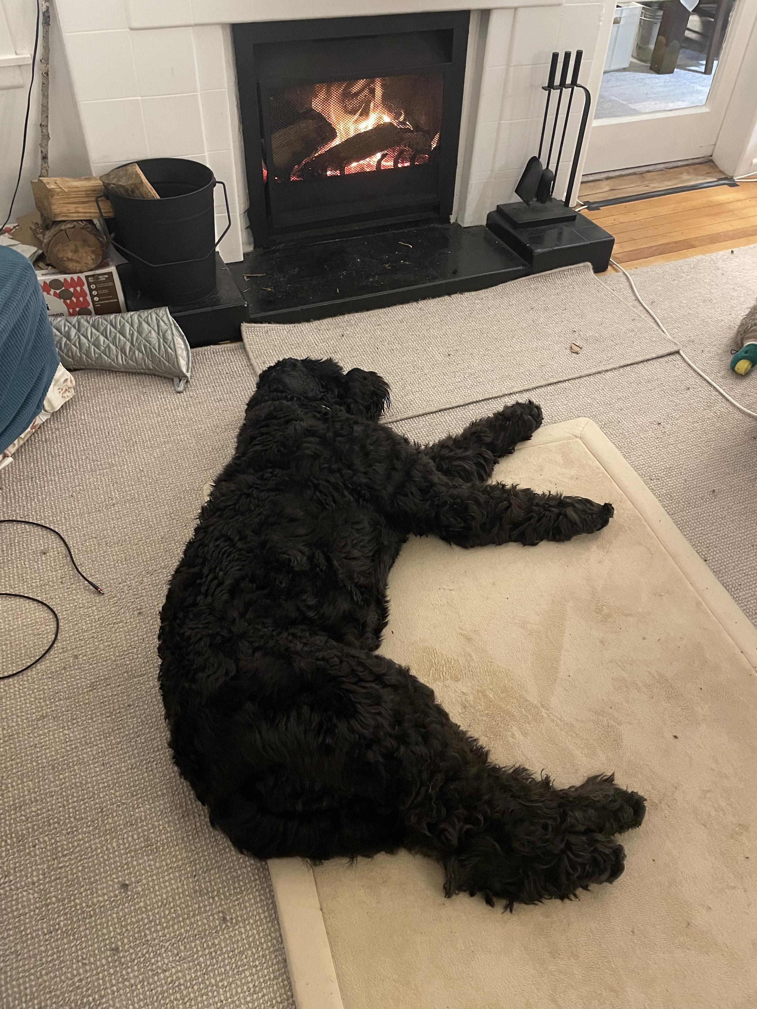 Large black dog sprawled asleep on the mat in front of a roaring inset fireplace