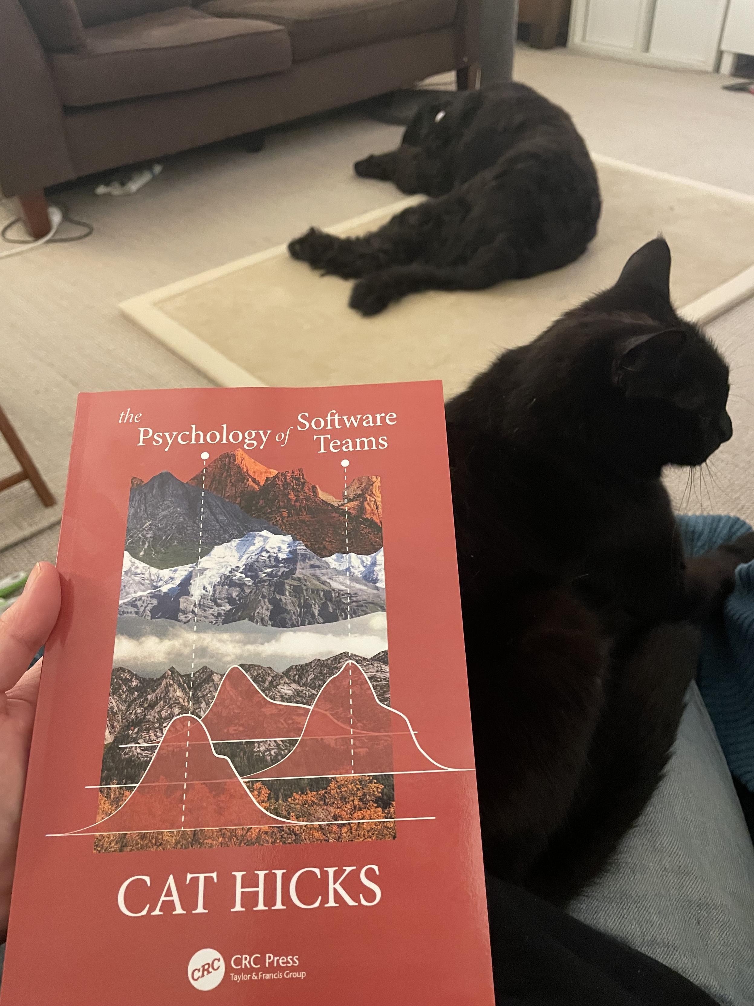 Red book “The Psychology of Software Teams” by Dr Cat Hicks. Directly behind the book is black cat Bernard sitting on my lap, and further behind him large black dog Gus is curled up on his mat